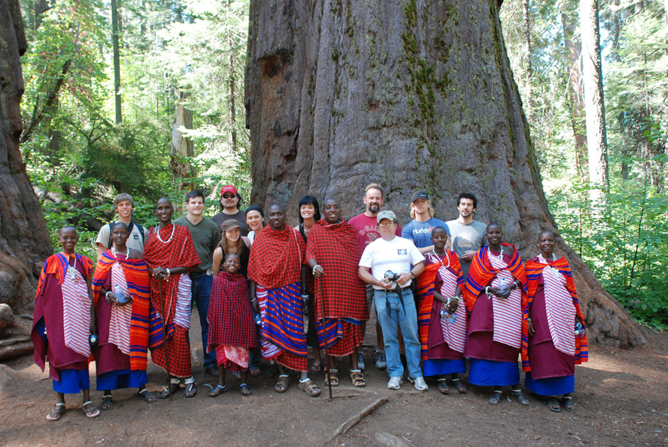 Big Trees!