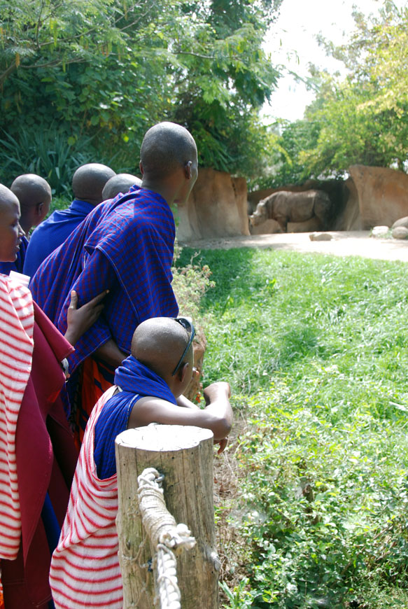 maasai looking at the rhino again
