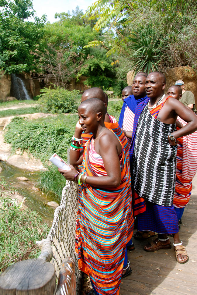 maasai looking at the rhino