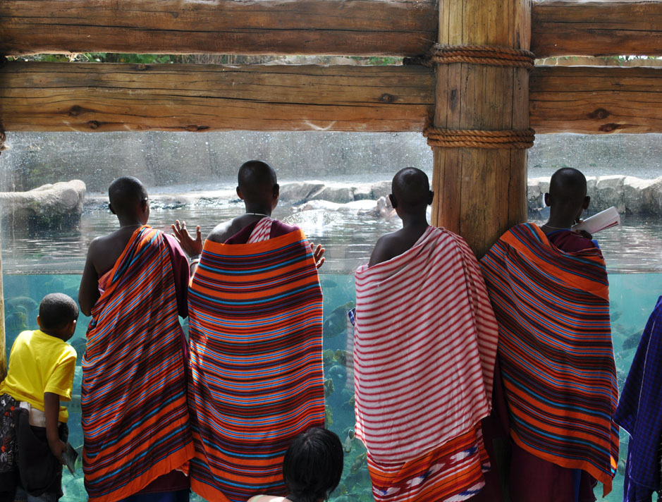 maasai watching hippos